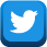 twitter_icon